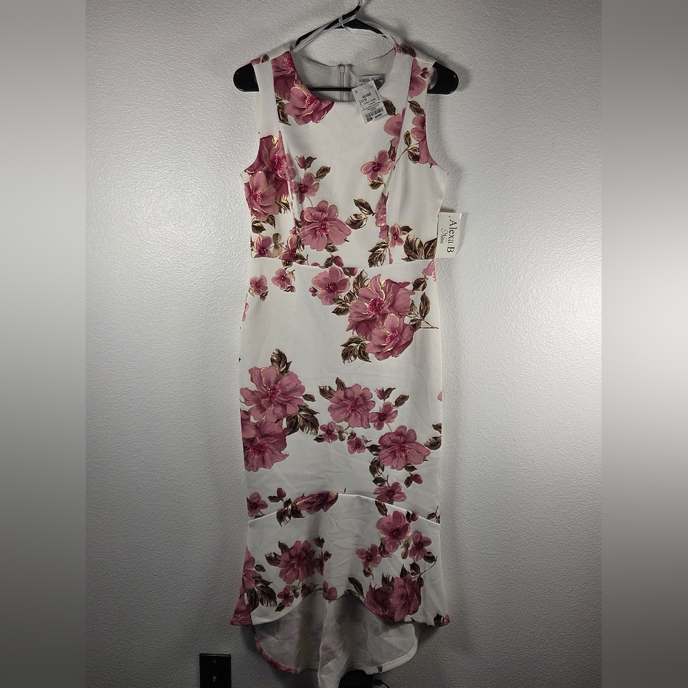 NWT Agnes B. Floral Midi Dress in Pink and Cream Size 8p